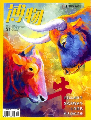 中国少年儿童新闻出版总社