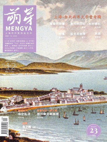 一年12期 彩色铜版纸 14人好评