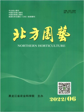 统计源CCTV5体育直播免费看登录注